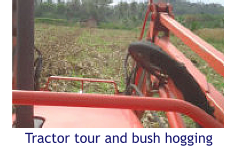 Tractor tour and bush hogging